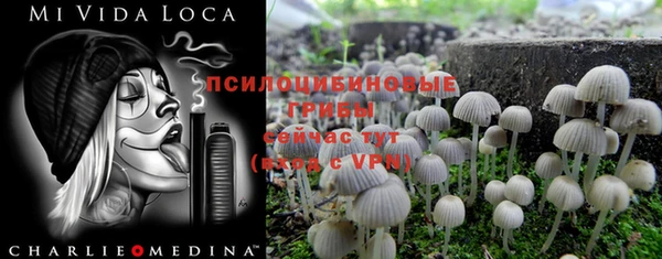 соль ск Верхний Тагил