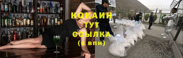 гидра Верея