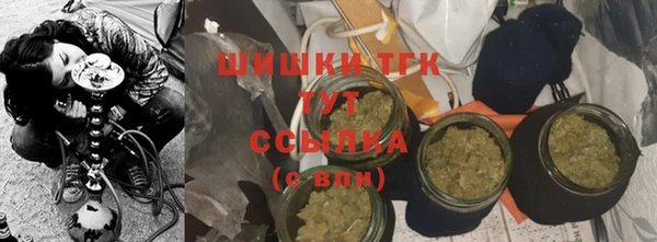 молекула духа Сясьстрой