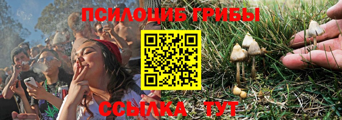 Псилоцибиновые грибы мухоморы Выборг