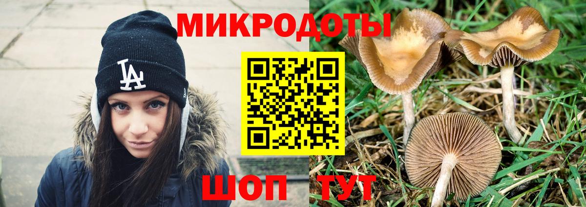 Выборг  Галлюциногенные грибы ЛСД  Галлюциногенные грибы Cubensis  Вход с VPN 